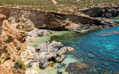 BRING YOUR PINSA ROMANA WHEREVER YOU WANT