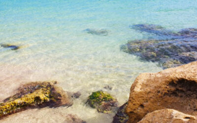 WHAT TO DO IN THE SOUTH OF MALTA