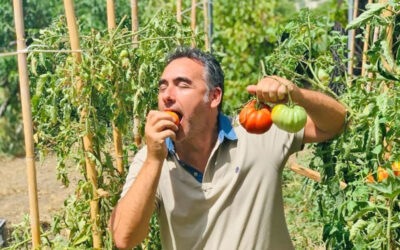 THE IMPORTANCE OF THE INGREDIENTS