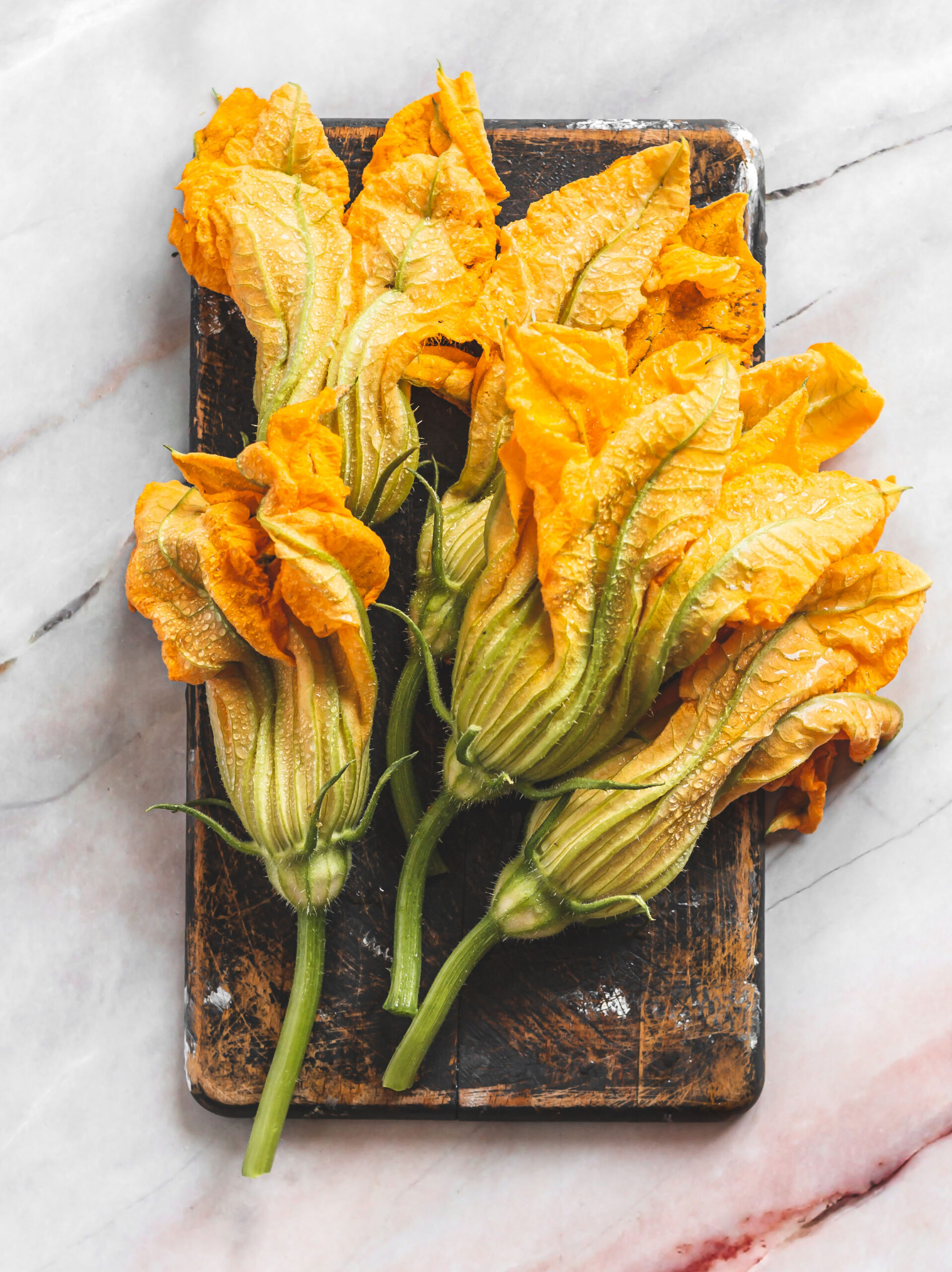 zucchini flowers recipes 